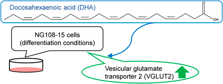 Biol. Pharm. Bull. Vol.  No. 9, Graphical Abstracts   公益社団