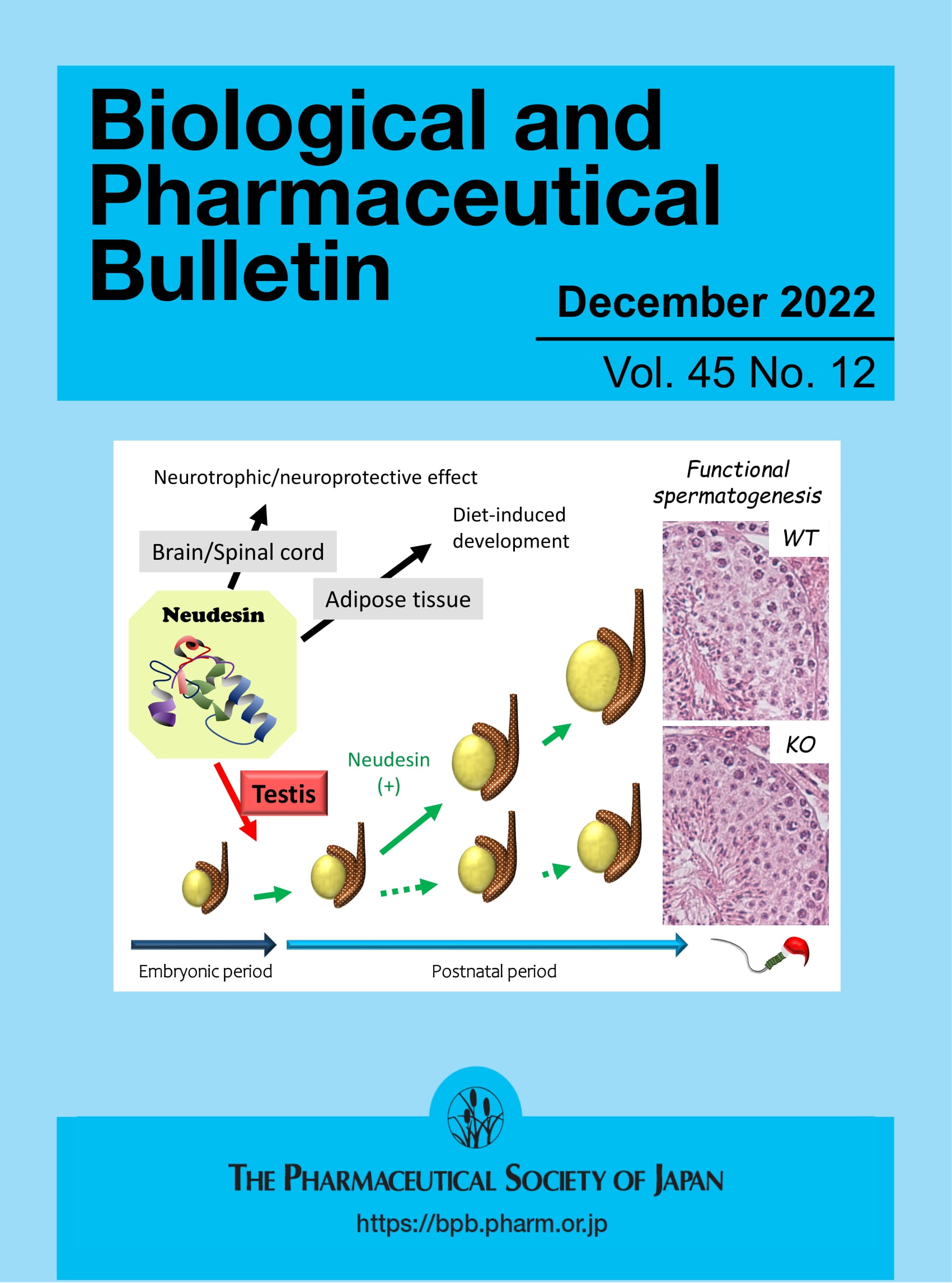 Biological and Pharmaceutical Bulletin