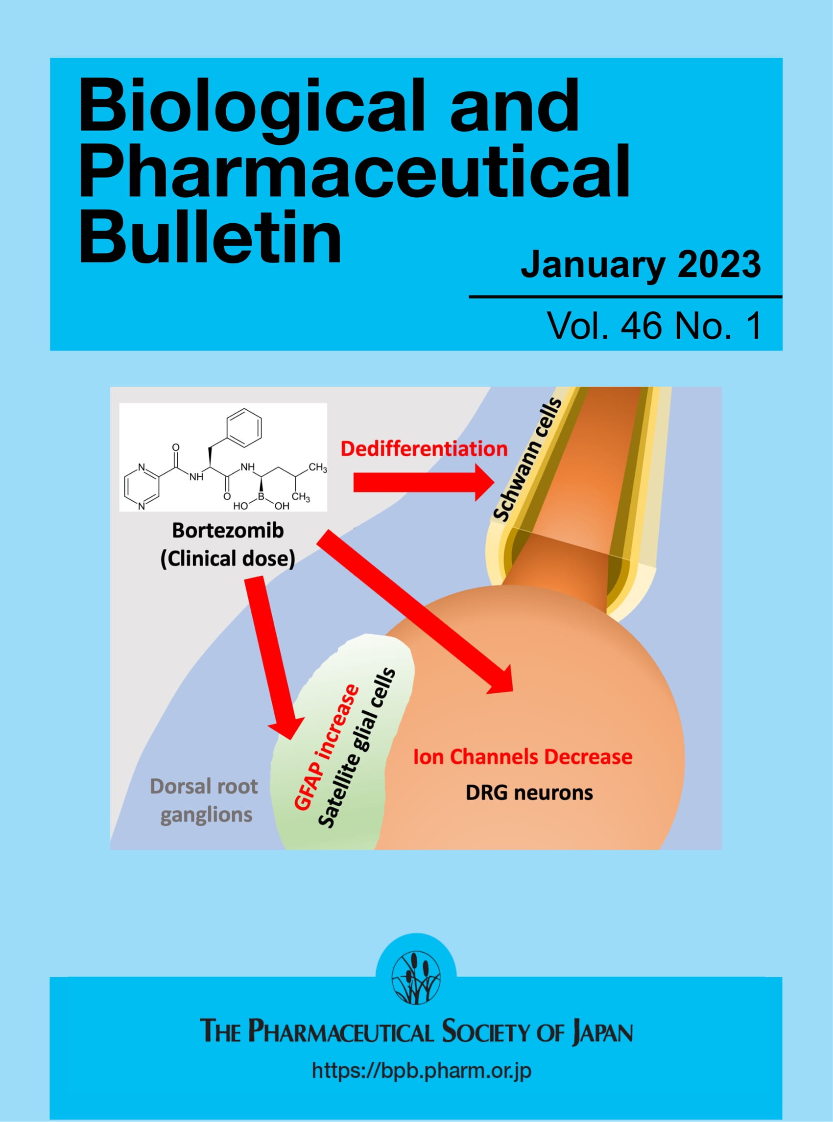 Biological and Pharmaceutical Bulletin