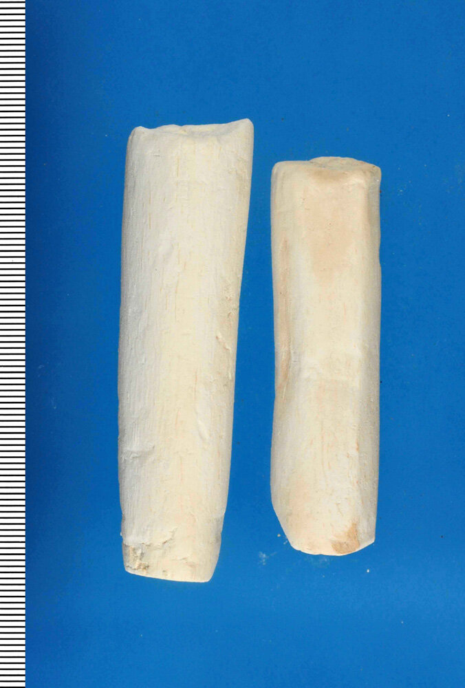 山薬（さんやく）