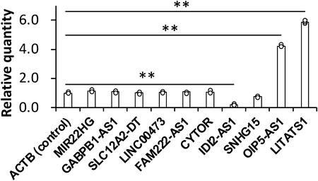 47_b24-00037.png