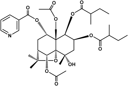 72_c24-00520.png