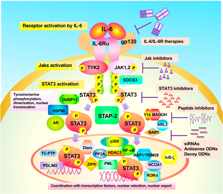 bio-46-3-2.png