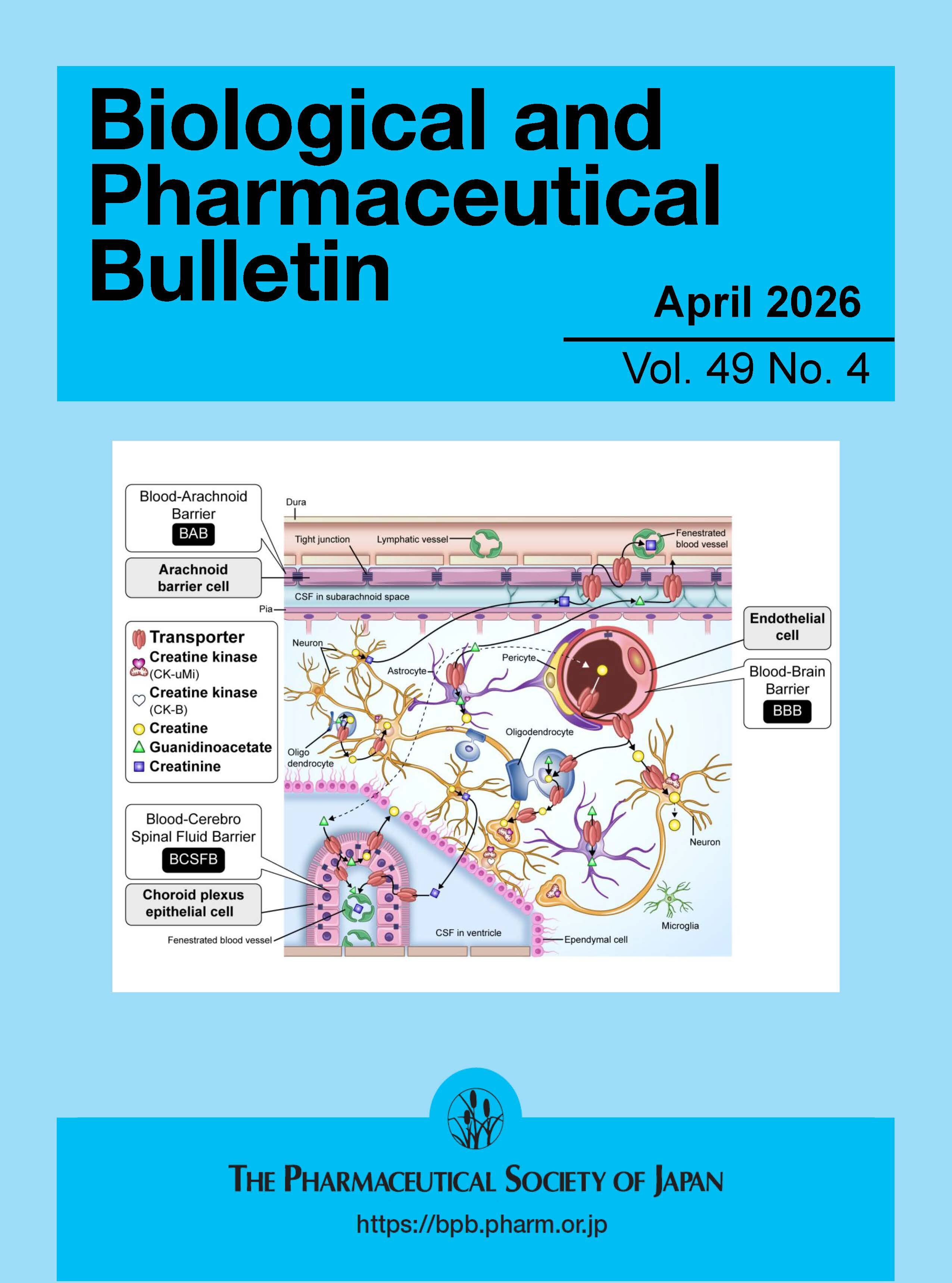 Biol. Pharm. Bull. Vol. 49 No. 6