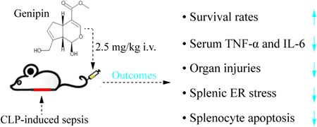 chem-46-2-8.png