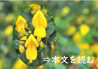 日本薬学会 日本薬学会 日本薬学会 日本薬学会