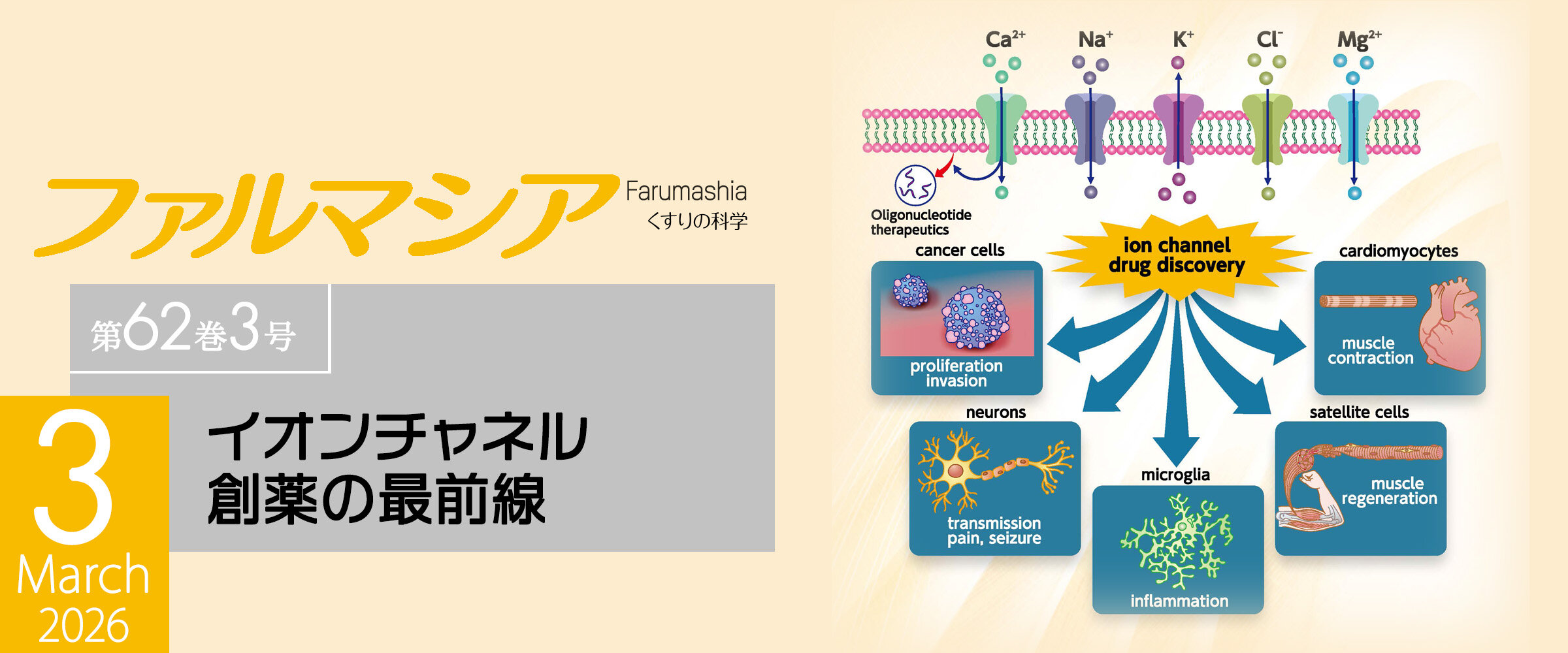 アイキャッチ　ファルマシア第62巻3号0